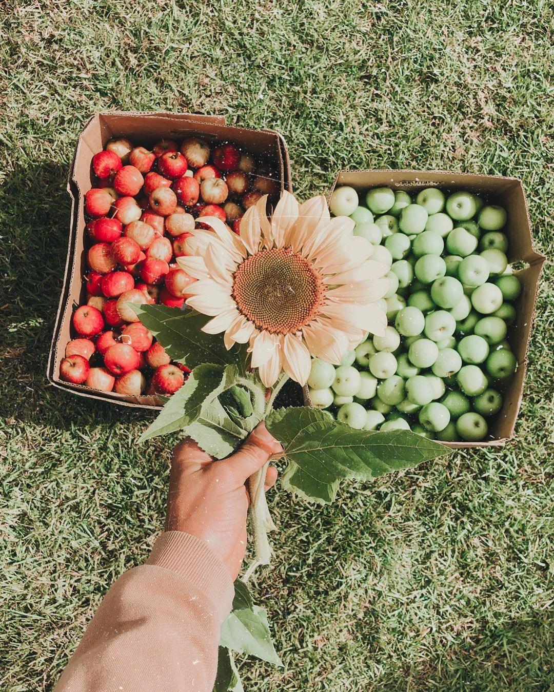 CAFE PARTNERS: The Farm Folk