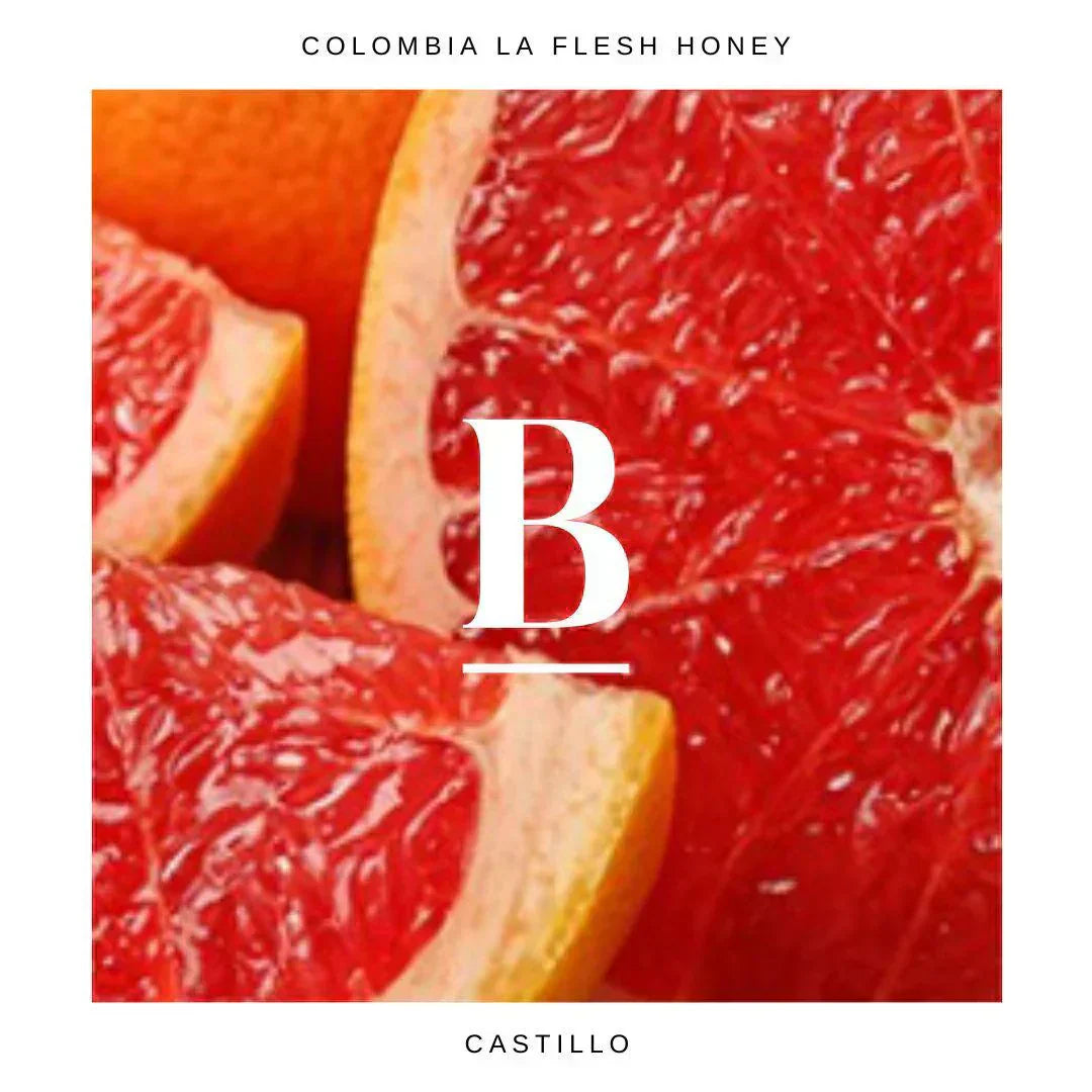 Our Colombia La Flecha | Castillo Honey