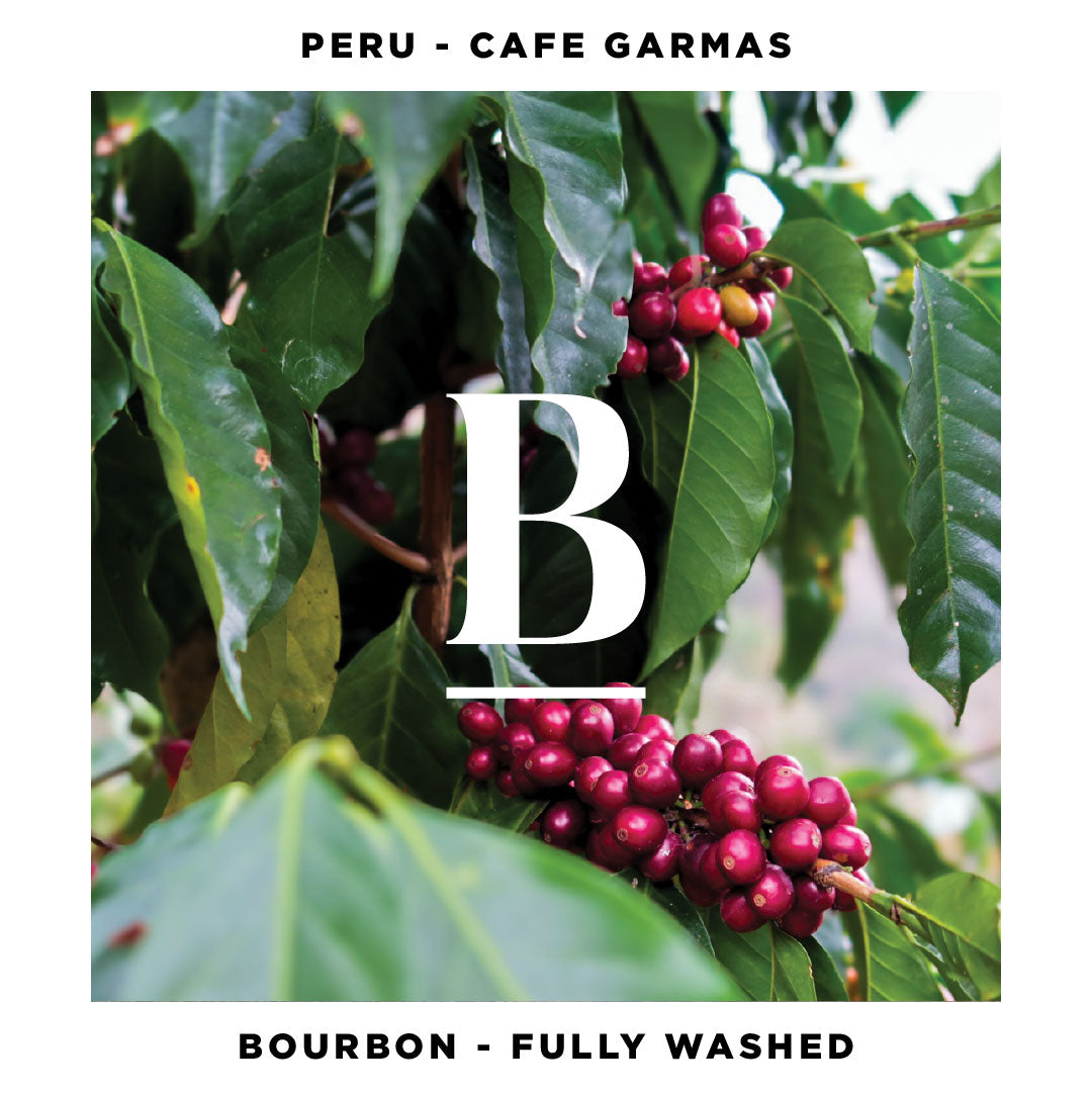 Our Peru Cafe Garmas | Bourbon Fully Washed