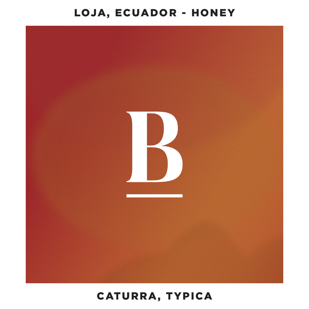 Our Ecuador Loja | Caturra Typica Honey Espresso Coffee