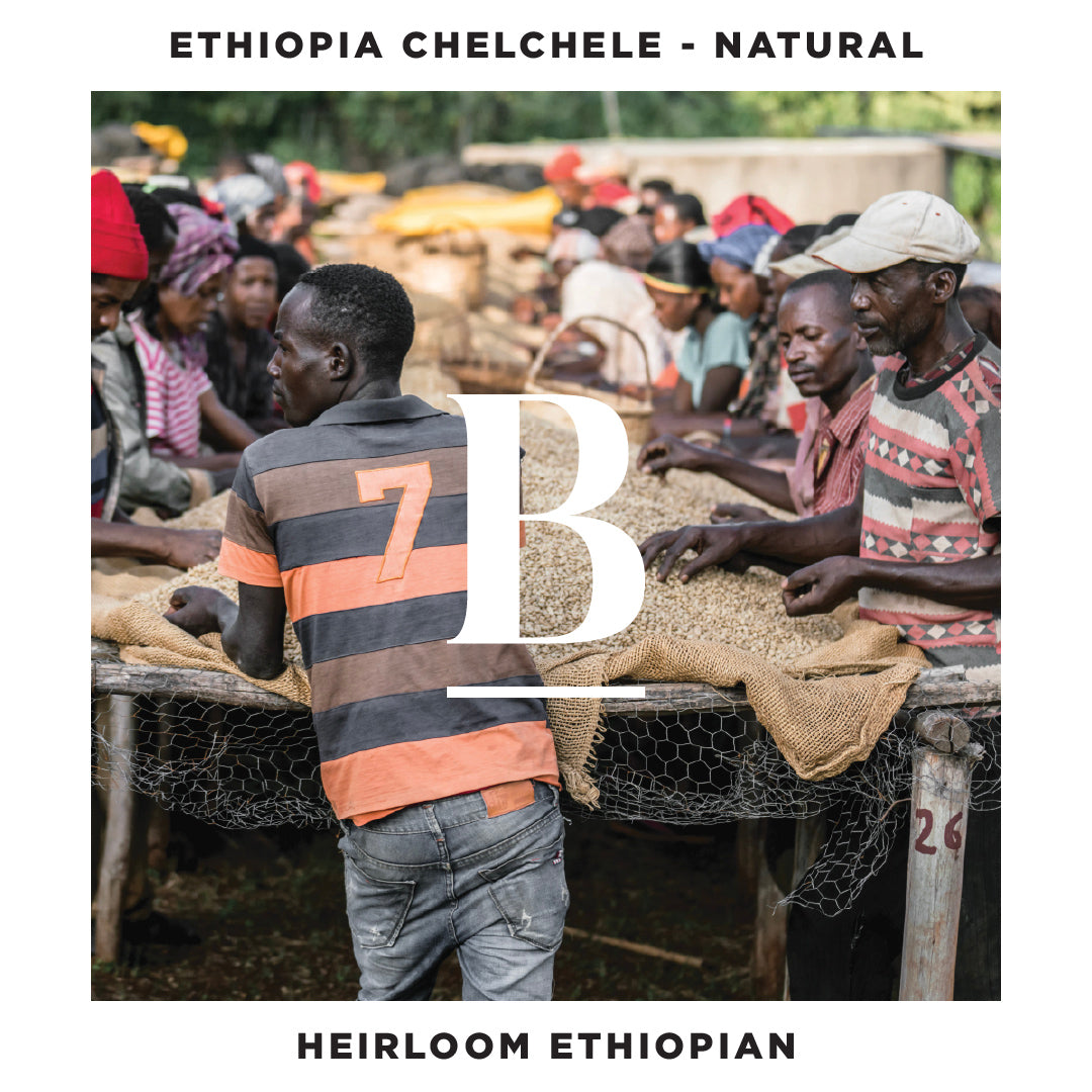 Our Ethiopia Chelchele | Heirloom Natural Filter Coffee