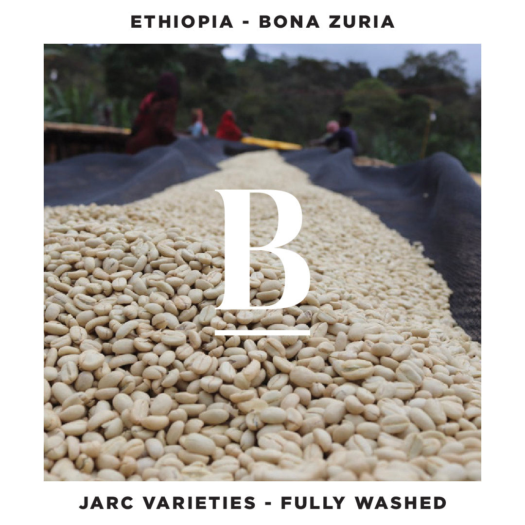 Our Ethiopia Bona Zuria | JARC Fully Washed