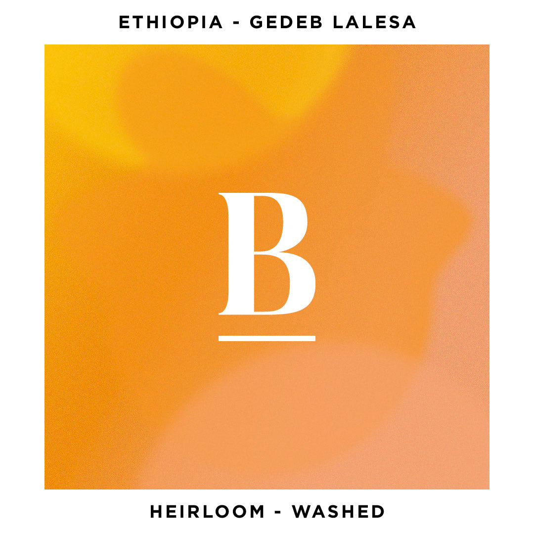 Our Ethiopia Gedeb Lalesa | Heirloom Washed