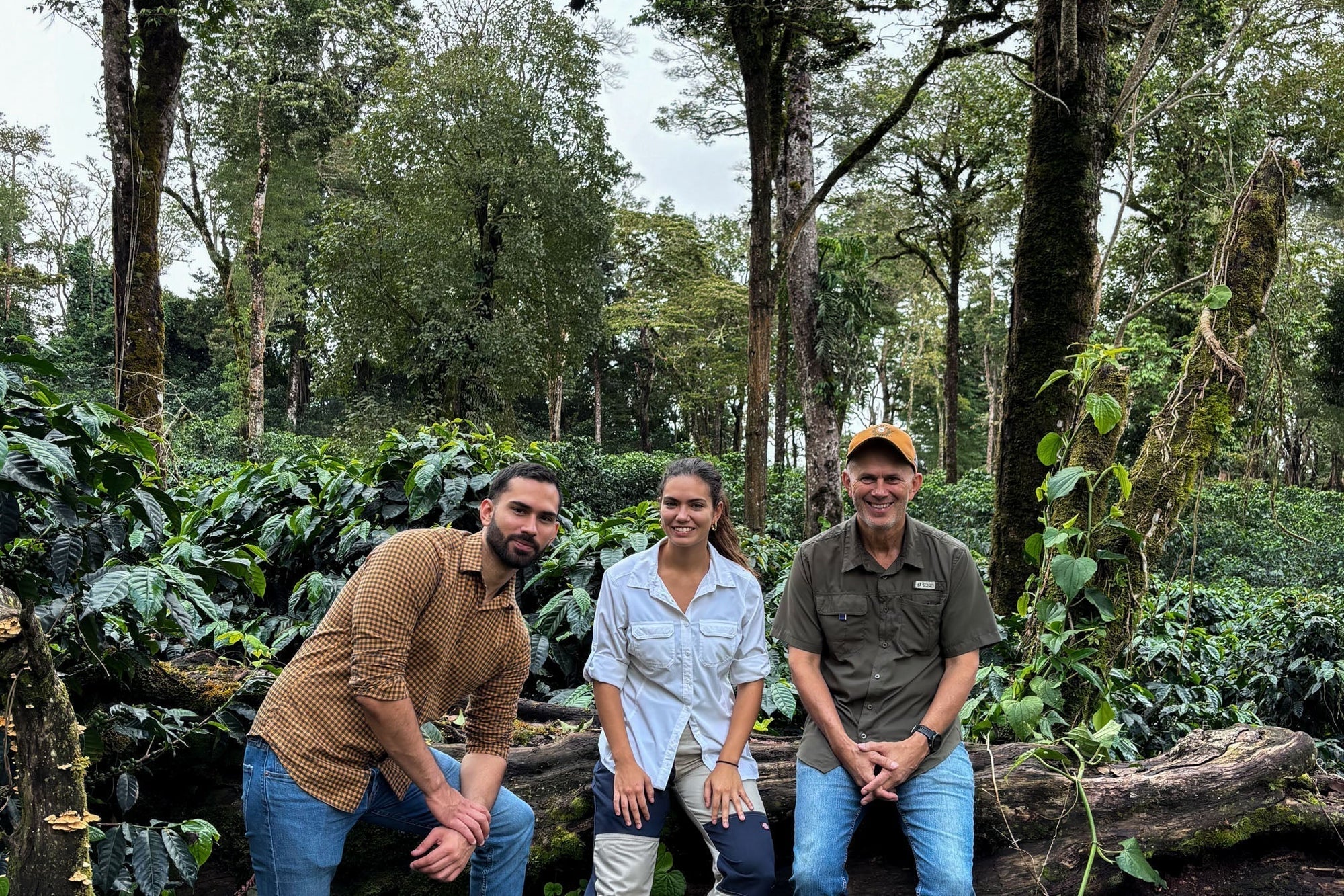Kotowa Coffee - Panama Geisha Collaboration