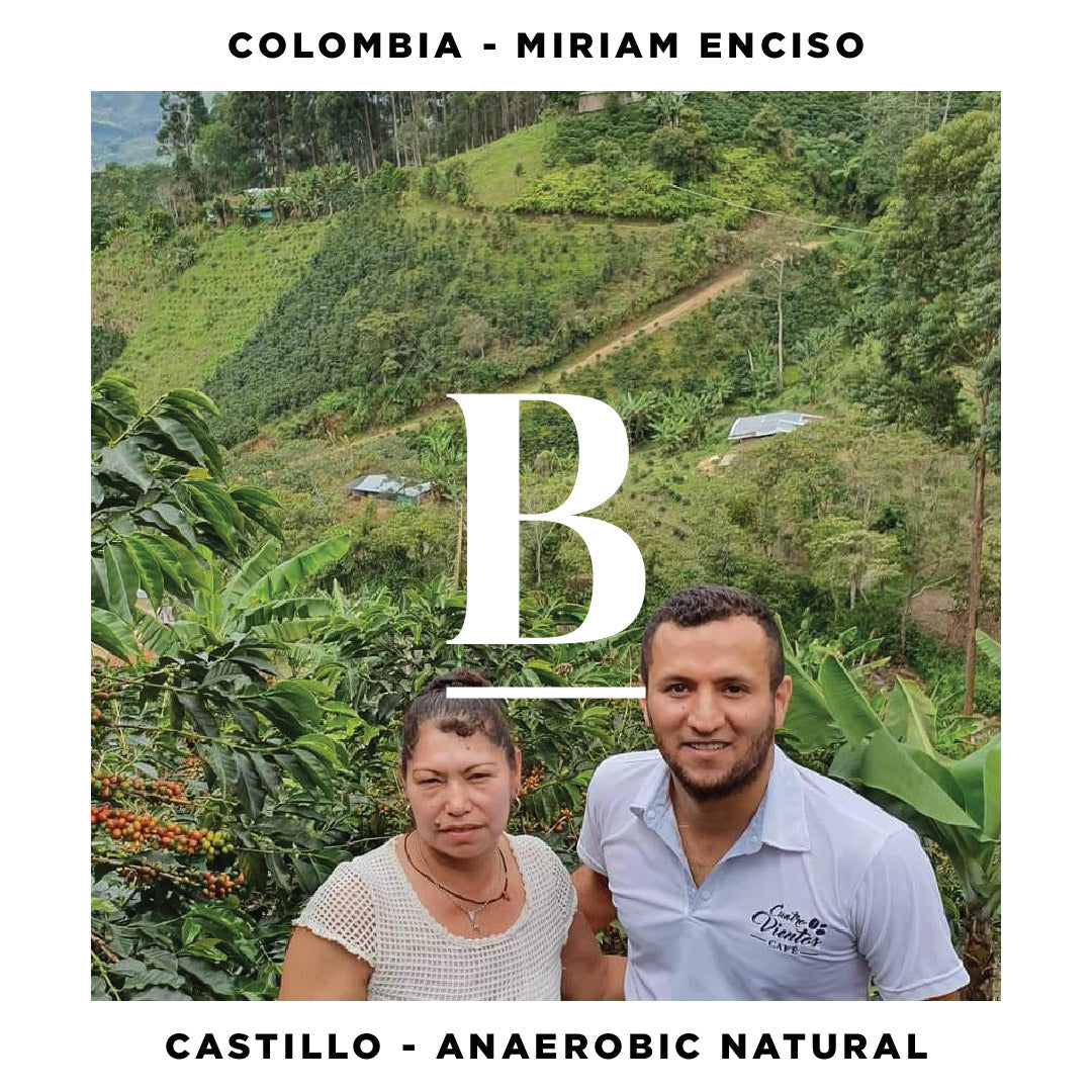 Colombia Miriam Enciso | Castillo Anaerobic Natural