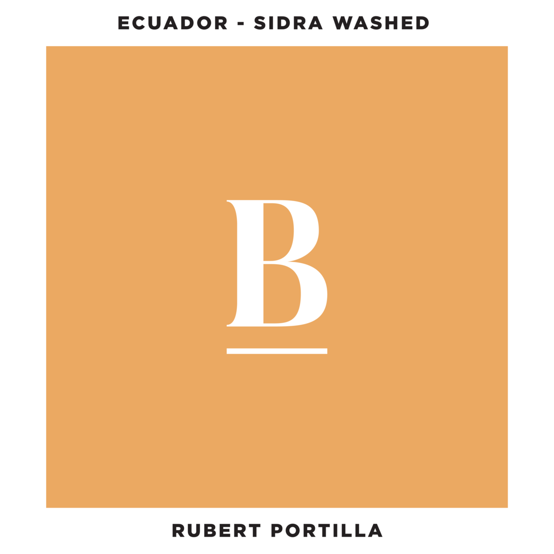 Our New Coffee From Ecuador | Sidra Washed Coffee