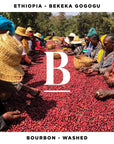Ethiopia Chelchele Gotiti Natural