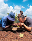 Kenya Sensory Collection - Ngacha Coffee Estate