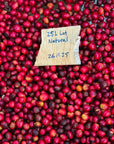Kenya Sensory Collection - Ngacha Coffee Estate