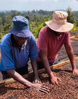 Kenya Sensory Collection - Ngacha Coffee Estate