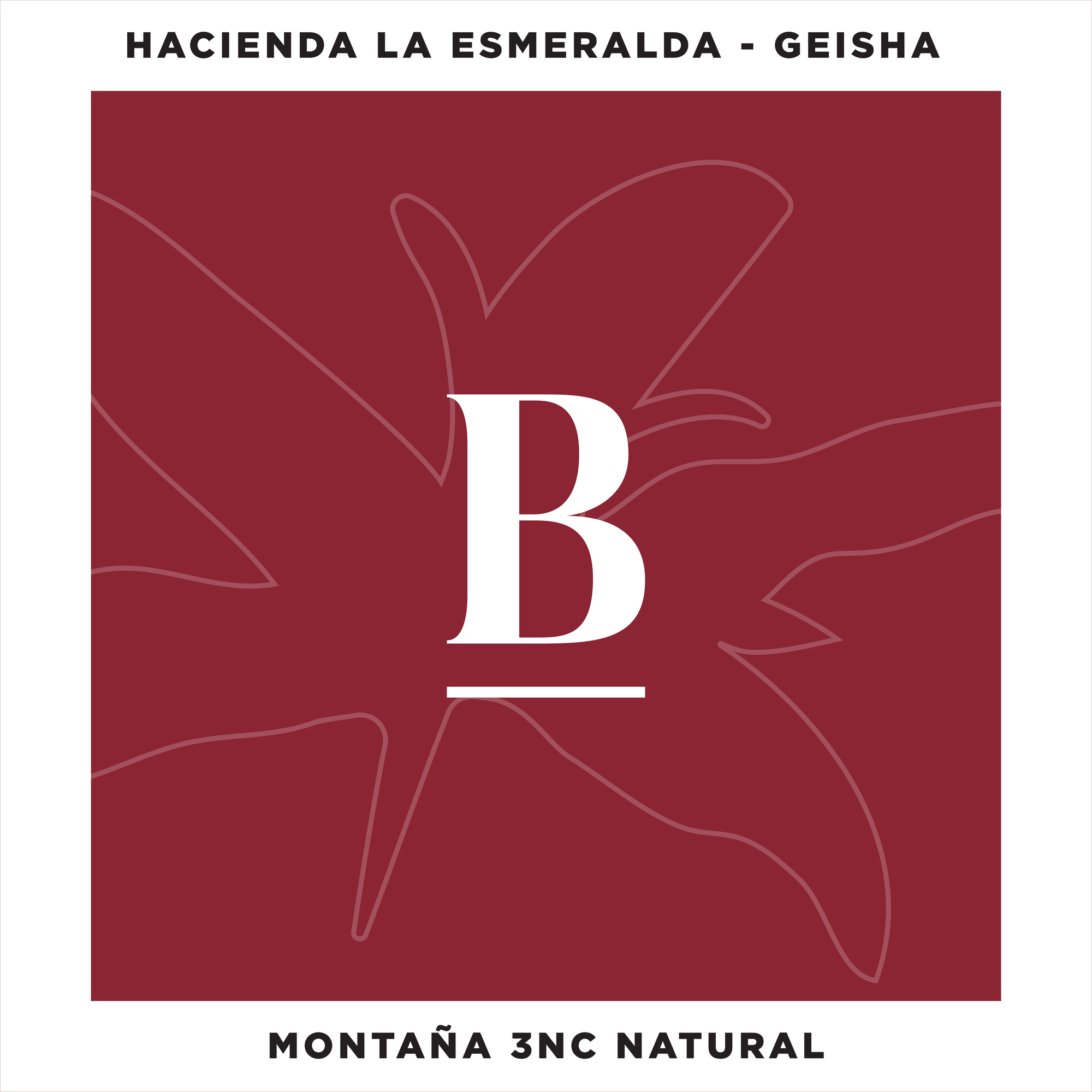 Panama Geisha Natural - Hacienda La Esmeralda 100g