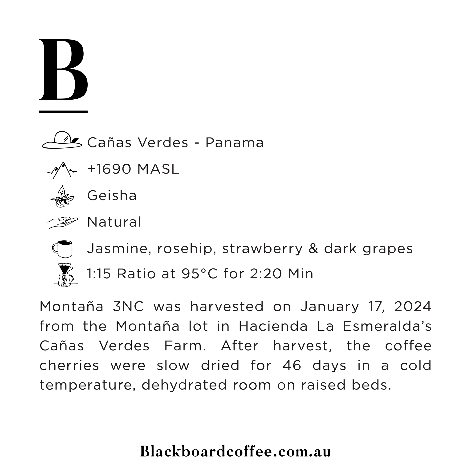 Panama Geisha Natural - Hacienda La Esmeralda 100g