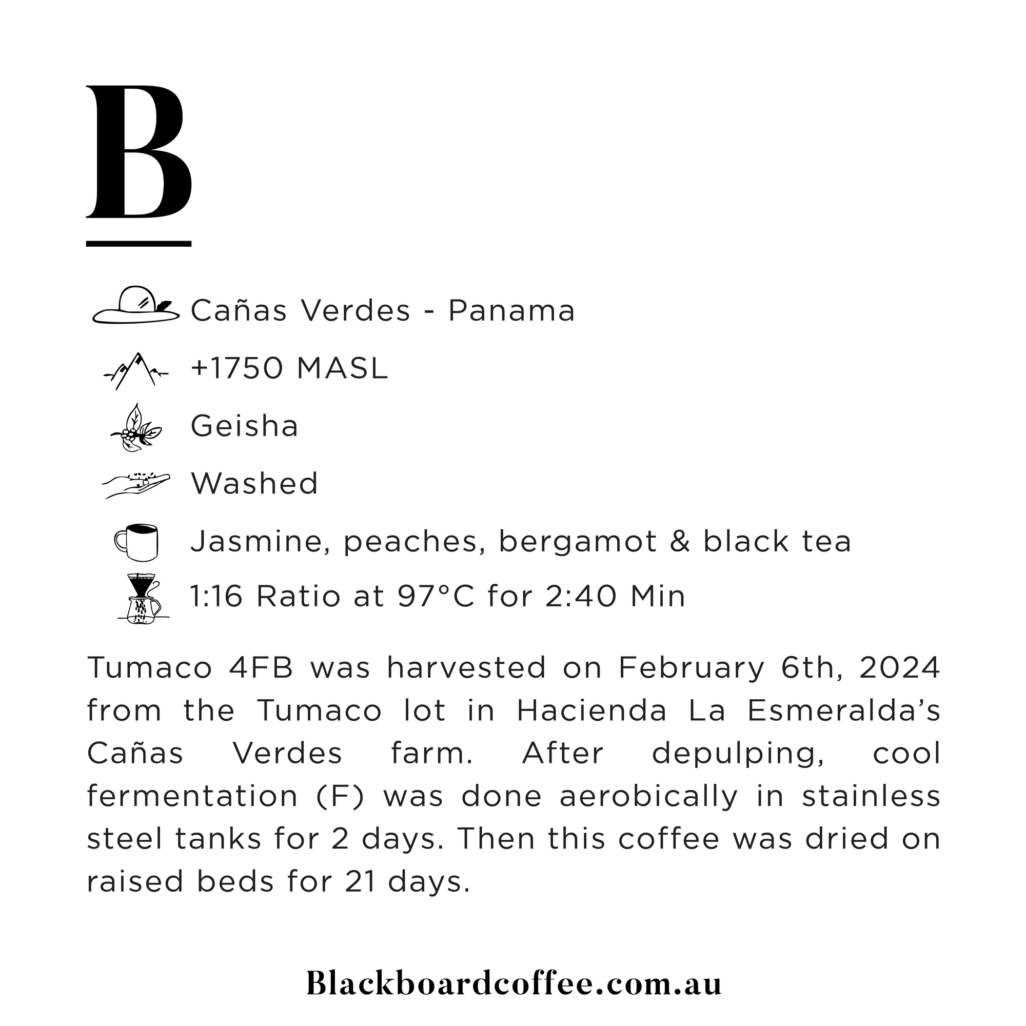 Panama Geisha Washed - Hacienda La Esmeralda 100g