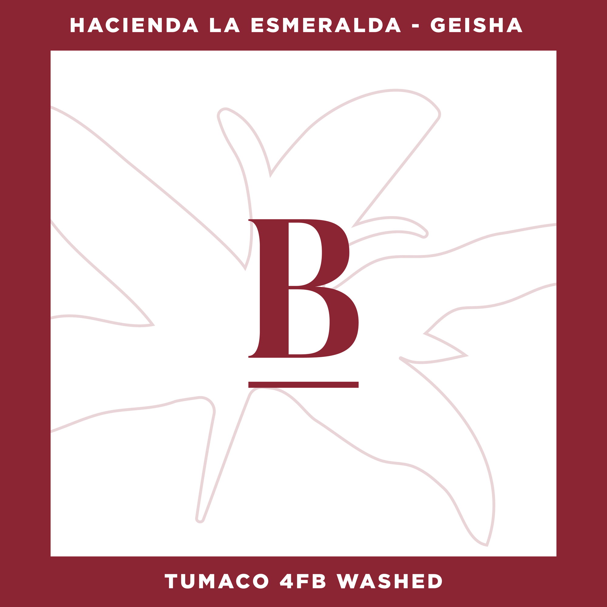 Panama Geisha Washed - Hacienda La Esmeralda 100g