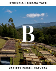 Ethiopia Sidama Yaye Natural