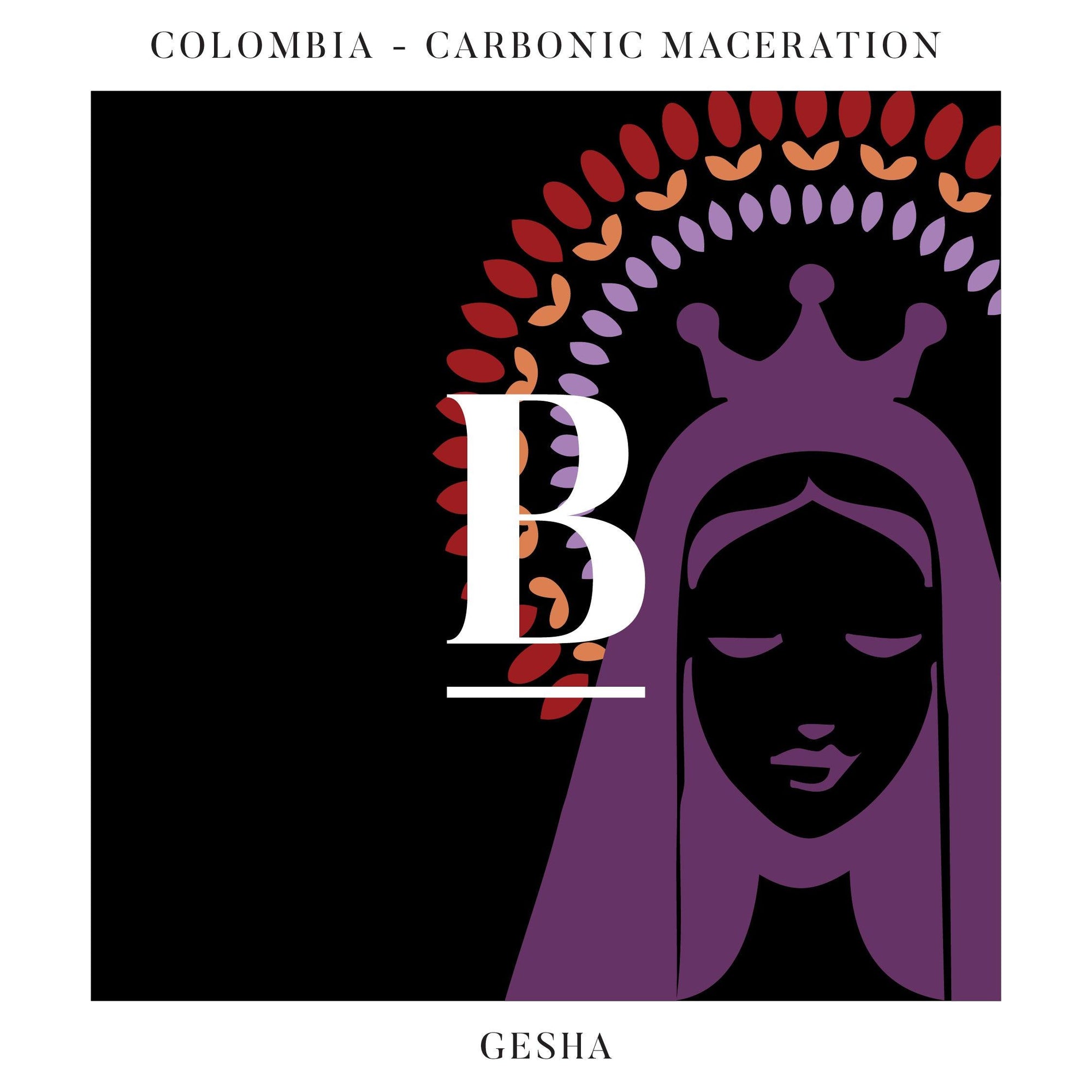 An Innovative Gesha Coffee From Santuario Project Colombia