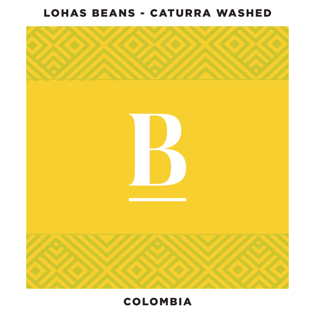 This is our Caturra Washed From Lohas Beans Colombia