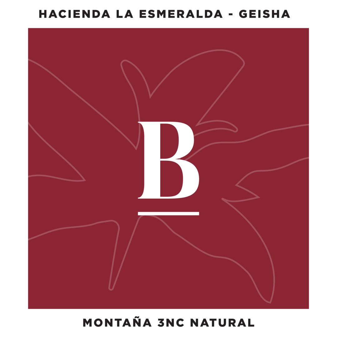 Our Special Reserve Geisha Montana 3NC Natural from Hacienda La Esmeralda