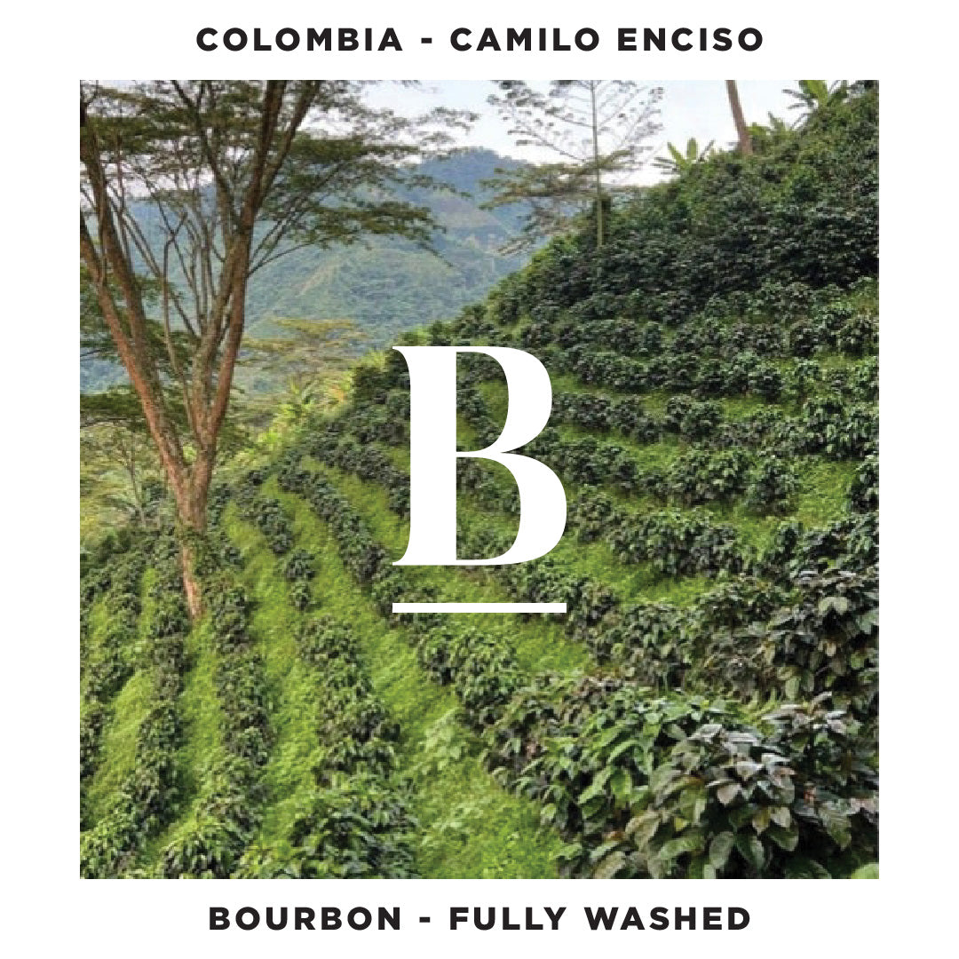 Our Colombia Camilo Enciso | Bourbon Washed