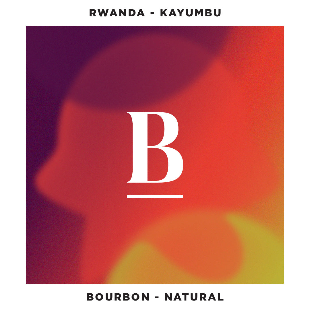 Our Rwanda Kayumbu | Bourbon Natural