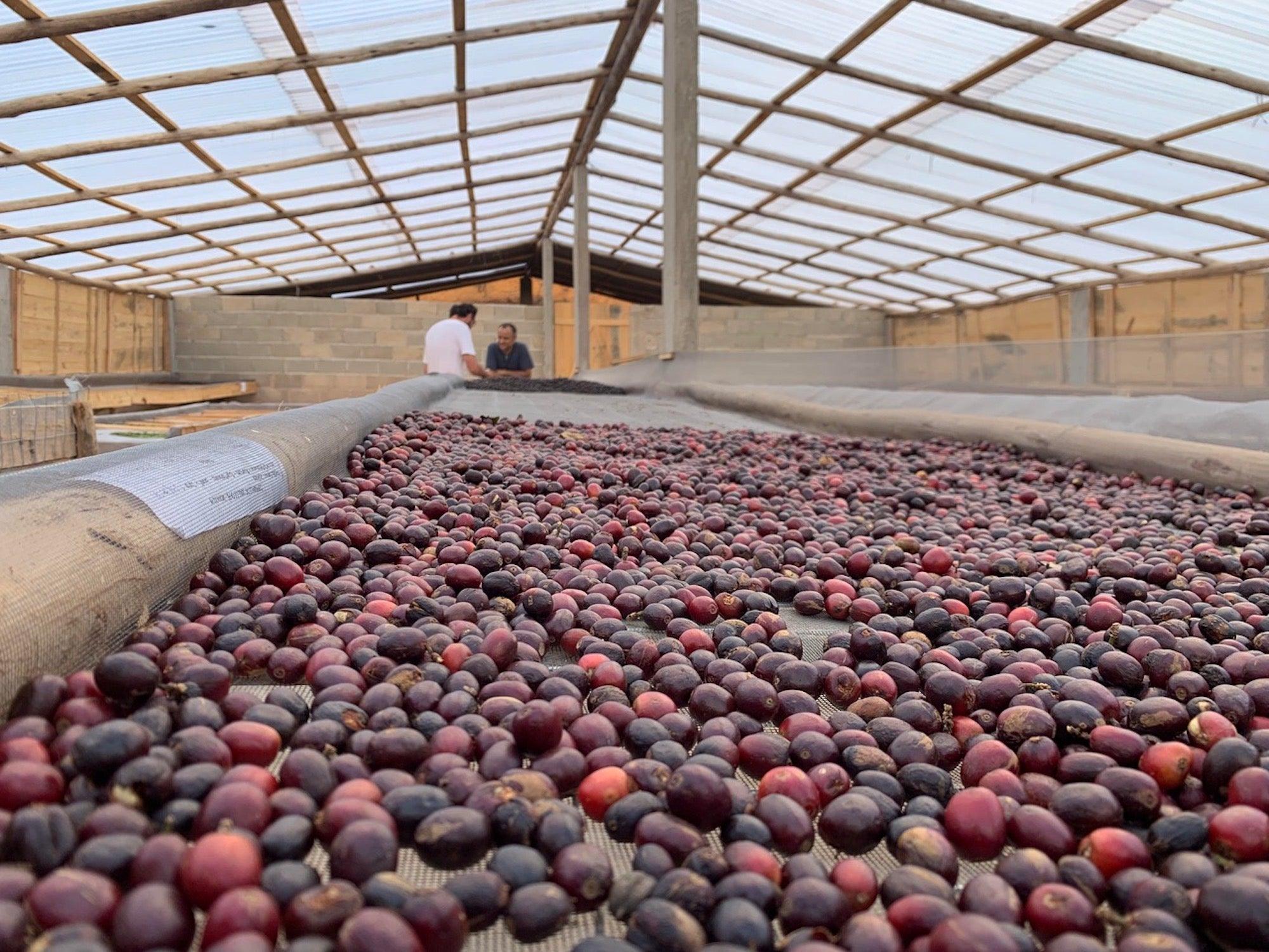 What Is Single Origin coffee?