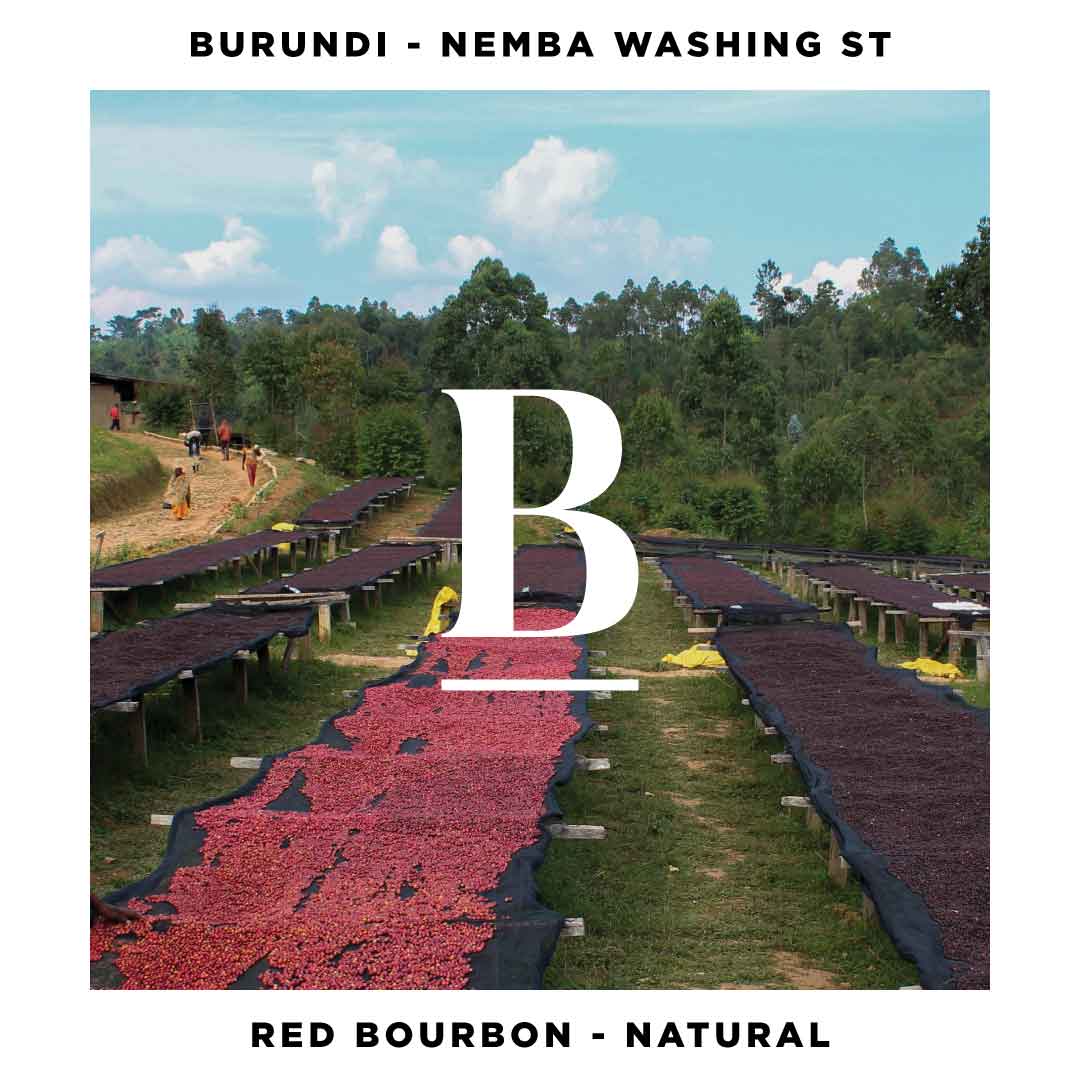 Burundi Nemba Washing St Red Bourbon Natural