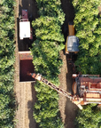 Brazil Vinhal Farm Anaerobic Natural Thermal Shock