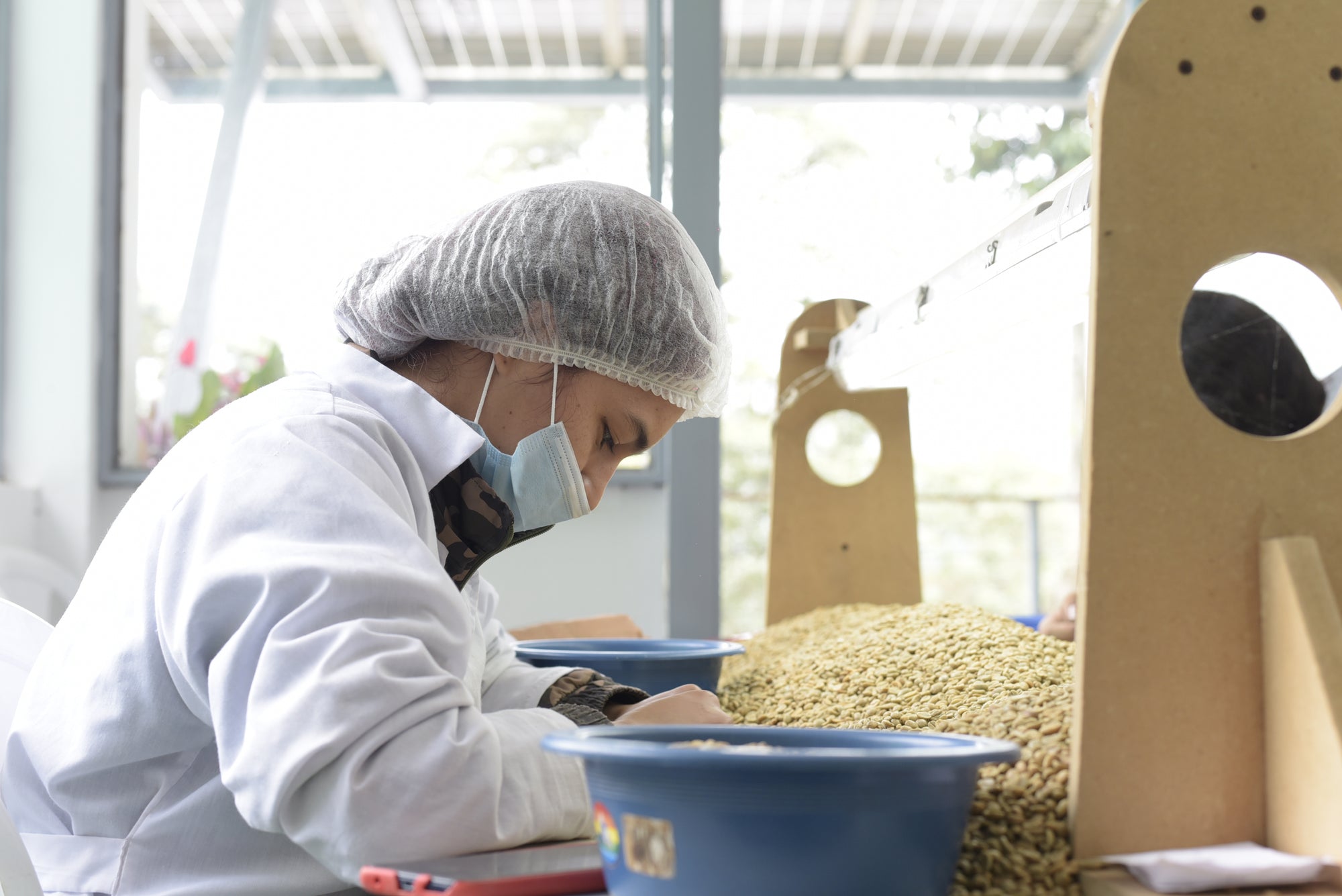 La Palma y El Tucan Heroes Series Geisha Collection