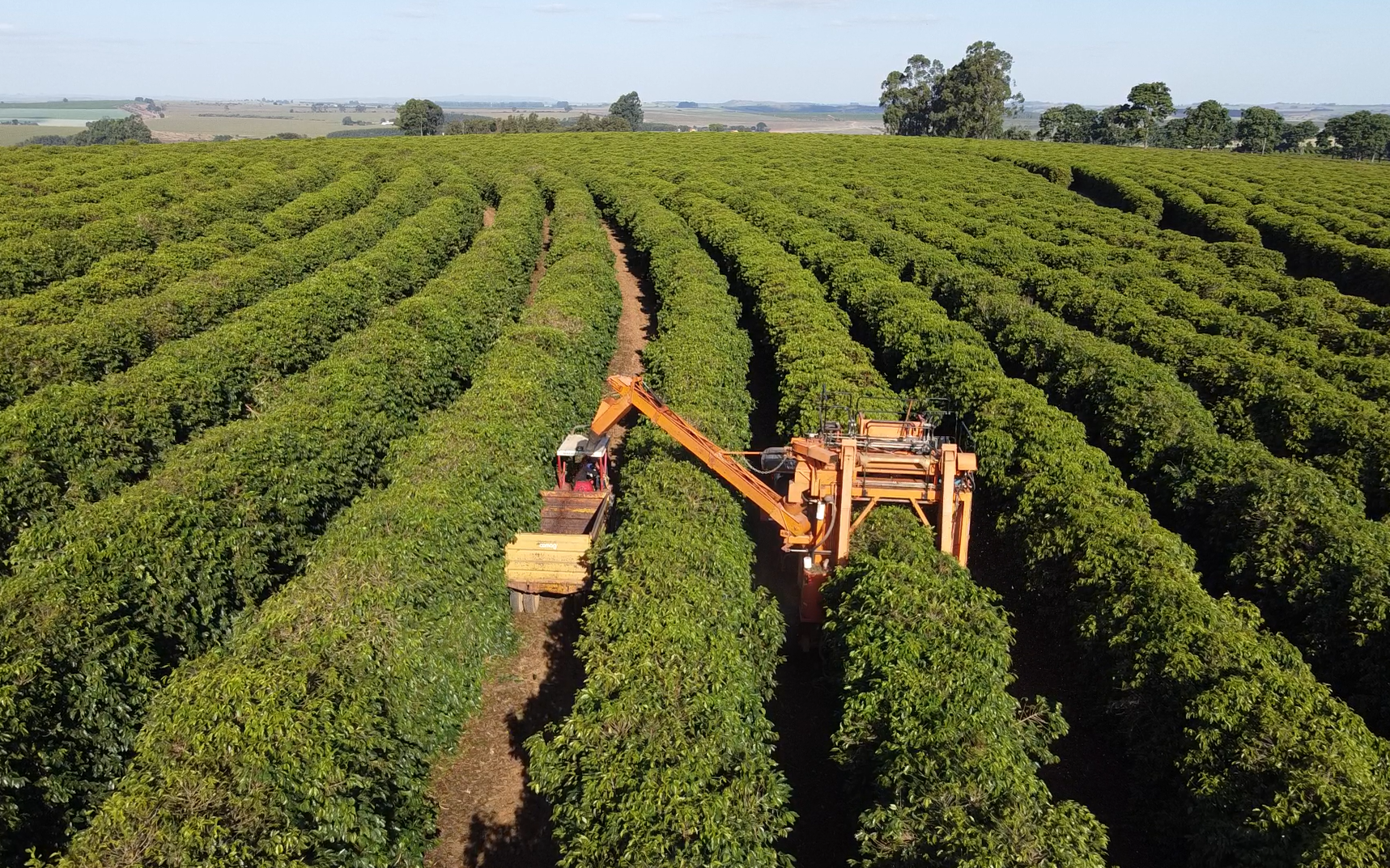 Brazil Vinhal Farm Anaerobic Natural Thermal Shock