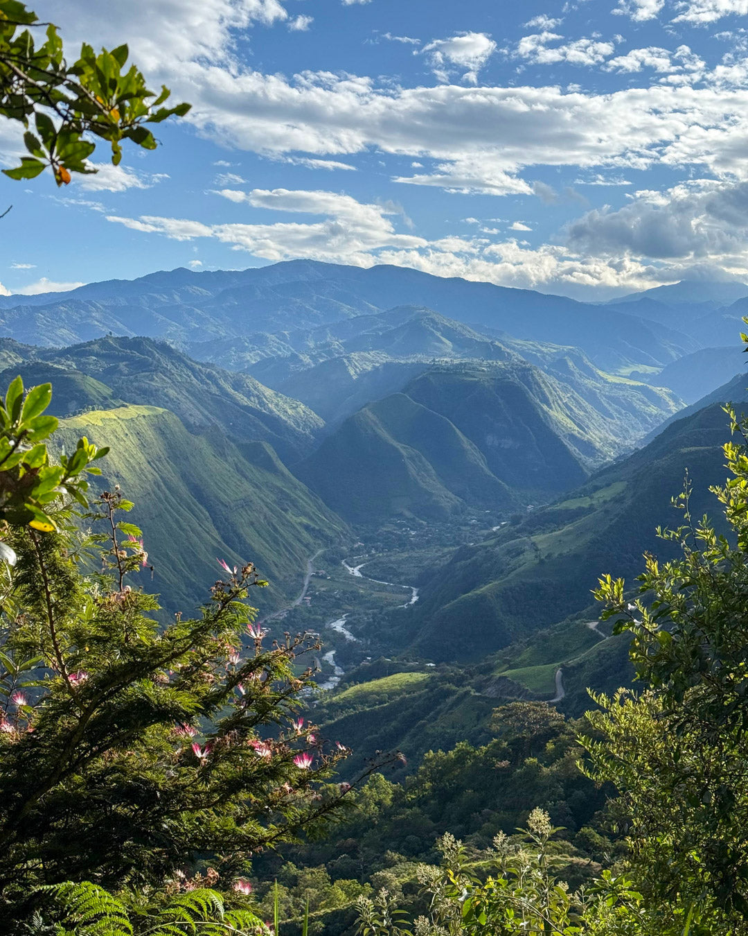 Ecuador Pepe Jijón - Finca Soledad Special Reserve