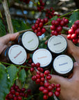 Kenya Sensory Collection - Ngacha Coffee Estate