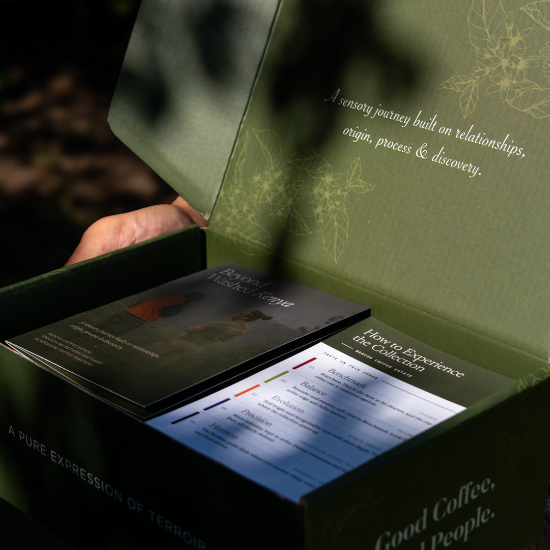 Kenya Sensory Collection - Ngacha Coffee Estate