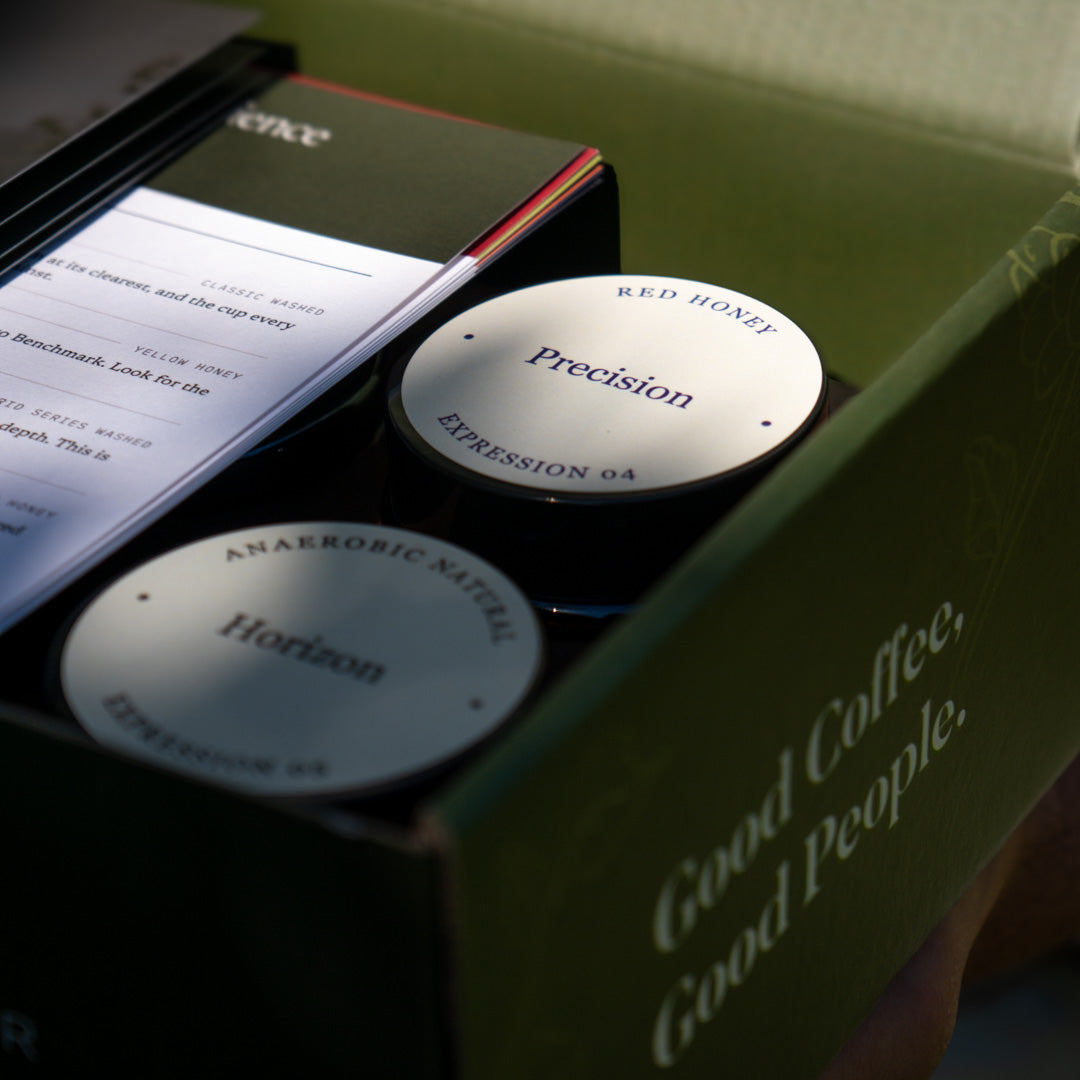 Kenya Sensory Collection - Ngacha Coffee Estate