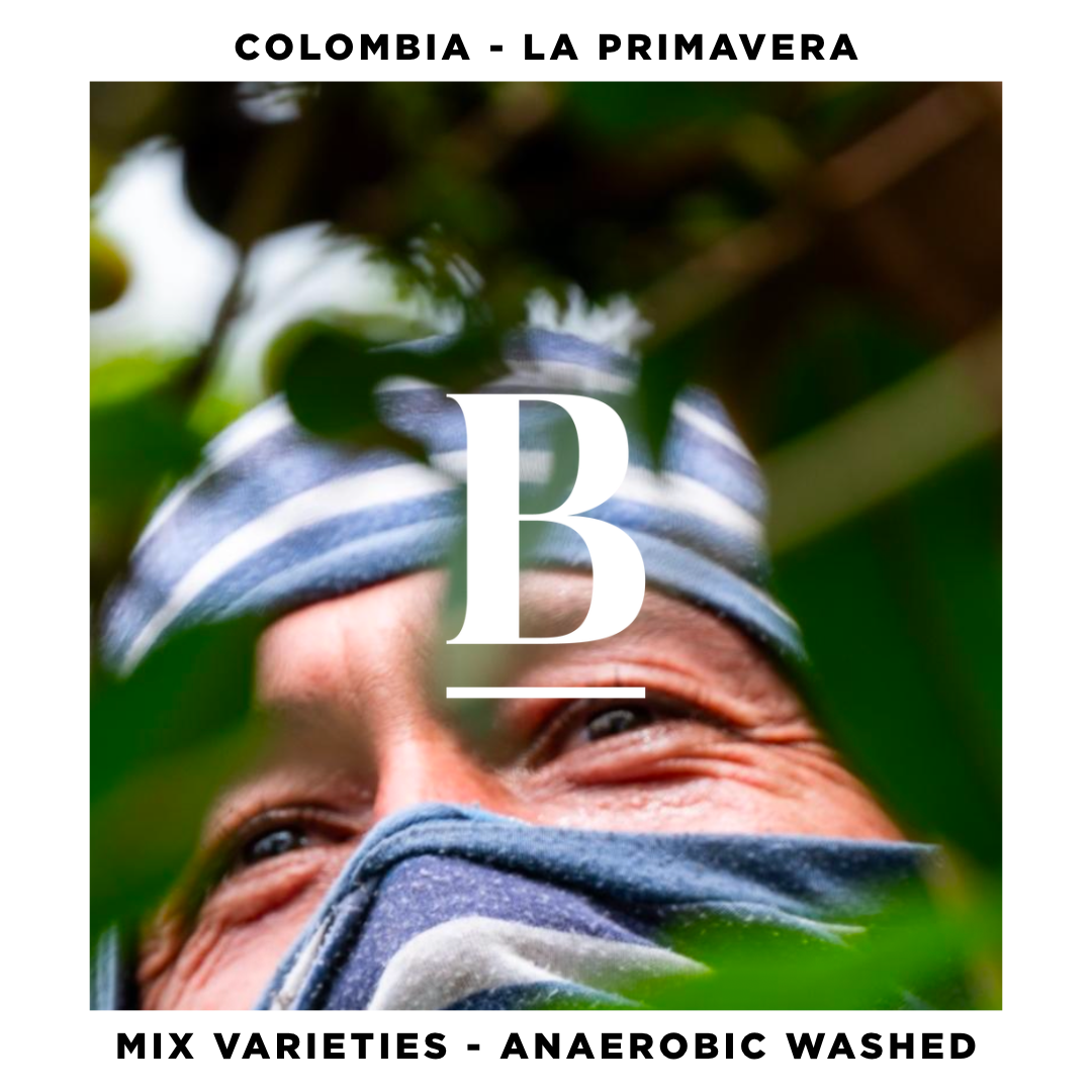 Colombia La Primavera Mix Varieties Anaerobic Washed