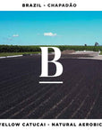 Brazil Chapadão Farm Natural Aerobic Single Origin Filter