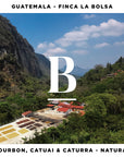 Guatemala Finca La Bolsa Bourbon Natural
